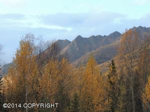26010 White Spruce Dr, Eagle River, AK 99577 photo 34