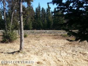 73645 Twin Peaks Loop, Anchor Point, AK 99556 photo 76