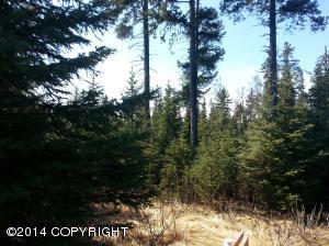 73645 Twin Peaks Loop, Anchor Point, AK 99556 photo 71