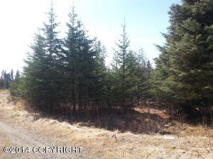 73645 Twin Peaks Loop, Anchor Point, AK 99556 photo 22