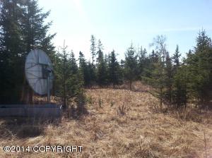 73645 Twin Peaks Loop, Anchor Point, AK 99556 photo 26