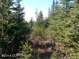 73645 Twin Peaks Loop, Anchor Point, AK 99556 photo 79