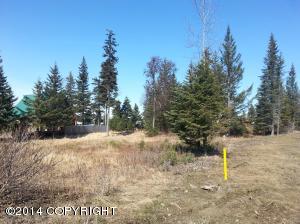 73645 Twin Peaks Loop, Anchor Point, AK 99556 photo 18