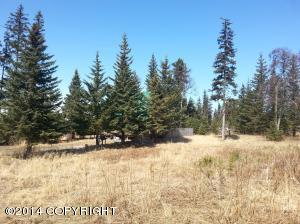 73645 Twin Peaks Loop, Anchor Point, AK 99556 photo 17
