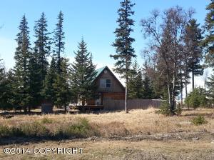 73645 Twin Peaks Loop, Anchor Point, AK 99556 photo 85