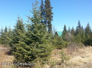 73645 Twin Peaks Loop, Anchor Point, AK 99556 photo 5