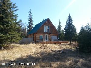 73645 Twin Peaks Loop, Anchor Point, AK 99556 photo 28