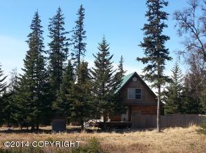 73645 Twin Peaks Loop, Anchor Point, AK 99556 photo 86