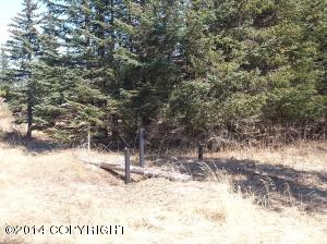 73645 Twin Peaks Loop, Anchor Point, AK 99556 photo 75