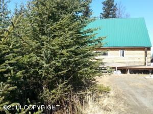 73645 Twin Peaks Loop, Anchor Point, AK 99556 photo 80