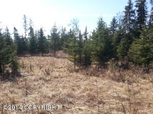 73645 Twin Peaks Loop, Anchor Point, AK 99556 photo 27