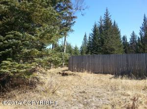 73645 Twin Peaks Loop, Anchor Point, AK 99556 photo 25