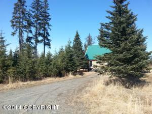 73645 Twin Peaks Loop, Anchor Point, AK 99556 photo 82