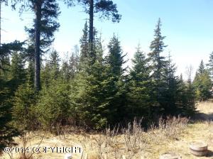 73645 Twin Peaks Loop, Anchor Point, AK 99556 photo 39