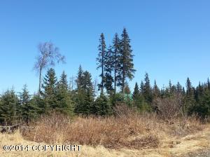 73645 Twin Peaks Loop, Anchor Point, AK 99556 photo 2