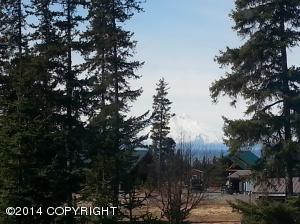 73645 Twin Peaks Loop, Anchor Point, AK 99556 photo 55