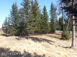 73645 Twin Peaks Loop, Anchor Point, AK 99556 photo 74