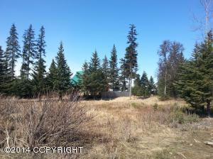 73645 Twin Peaks Loop, Anchor Point, AK 99556 photo 19