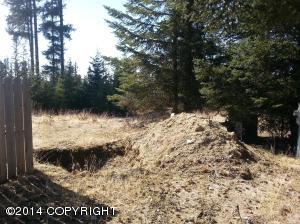 73645 Twin Peaks Loop, Anchor Point, AK 99556 photo 29