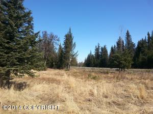 73645 Twin Peaks Loop, Anchor Point, AK 99556 photo 15
