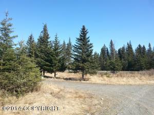 73645 Twin Peaks Loop, Anchor Point, AK 99556 photo 81