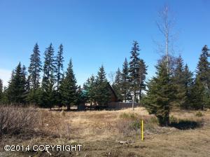 73645 Twin Peaks Loop, Anchor Point, AK 99556 photo 84