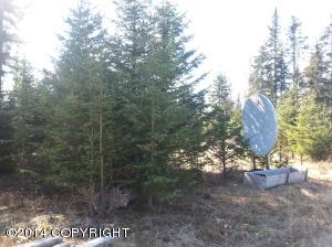 73645 Twin Peaks Loop, Anchor Point, AK 99556 photo 23