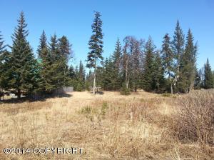 73645 Twin Peaks Loop, Anchor Point, AK 99556 photo 16