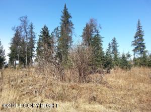 73645 Twin Peaks Loop, Anchor Point, AK 99556 photo 9