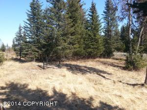 73645 Twin Peaks Loop, Anchor Point, AK 99556 photo 73