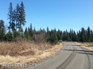 73645 Twin Peaks Loop, Anchor Point, AK 99556 photo 3