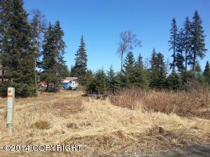 73645 Twin Peaks Loop, Anchor Point, AK 99556 photo 10