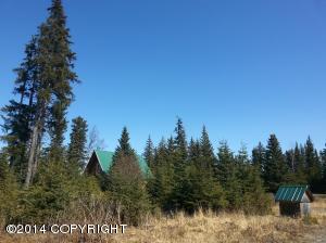 73645 Twin Peaks Loop, Anchor Point, AK 99556 photo 11