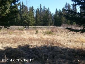 73645 Twin Peaks Loop, Anchor Point, AK 99556 photo 78