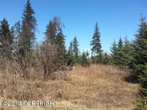 73645 Twin Peaks Loop, Anchor Point, AK 99556 photo 4