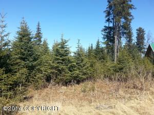73645 Twin Peaks Loop, Anchor Point, AK 99556 photo 12