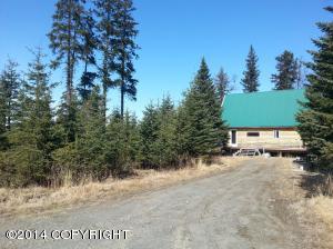 73645 Twin Peaks Loop, Anchor Point, AK 99556 photo 1