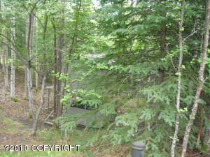 23730 Goliath Dr, Chugiak, AK 99567 photo 11