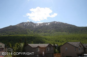 19045 Trail Bay Dr, Eagle River, AK 99577 photo 15