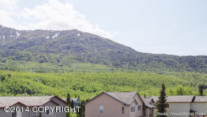 19045 Trail Bay Dr, Eagle River, AK 99577 photo 39