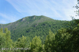 24224 Temple Dr, Chugiak, AK 99567 photo 30