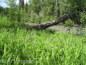 13743 E Hideaway Dr, Willow, AK 99688 photo 51