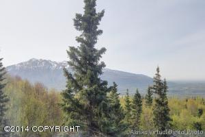 19204 Upper Skyline Dr, Eagle River, AK 99577 photo 5