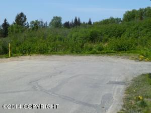 692 Rangeview Ave, Homer, AK 99603 photo 27