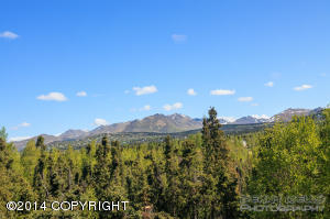 6300 Huffman Rd, Anchorage, AK 99516 photo 38