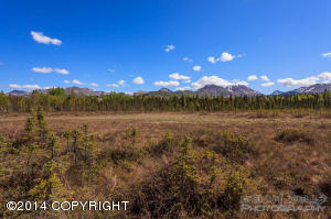 6300 Huffman Rd, Anchorage, AK 99516 photo 40