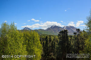 6300 Huffman Rd, Anchorage, AK 99516 photo 39