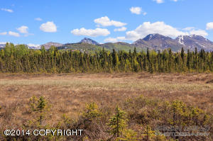 6300 Huffman Rd, Anchorage, AK 99516 photo 41