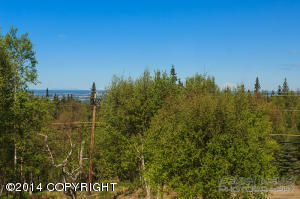 6300 Huffman Rd, Anchorage, AK 99516 photo 48