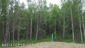 5902 E Summit Cir, Wasilla, AK 99654 photo 46